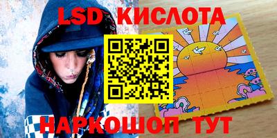a pvp Новозыбков