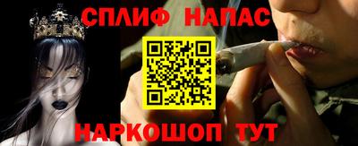 стафф Новокубанск