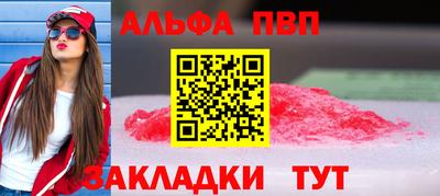 a pvp Новозыбков
